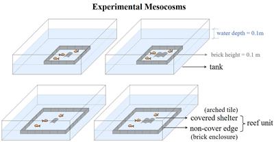 Moderate relative size of covered and non-covered structures of artificial reef enhances the sheltering effect on reef fish